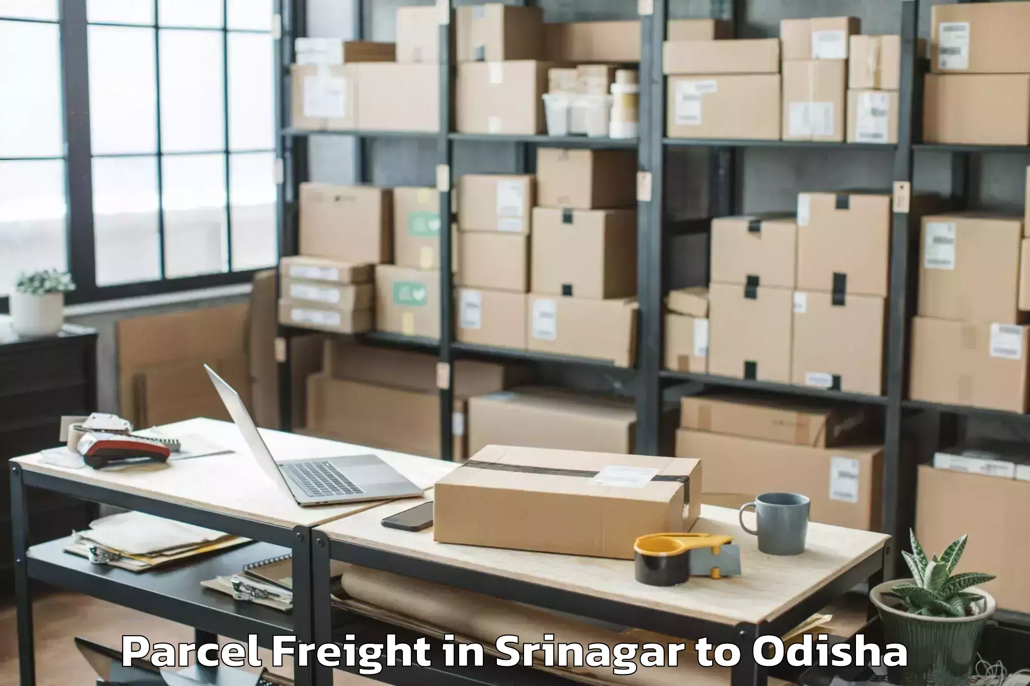 Efficient Srinagar to Hirakud Parcel Freight